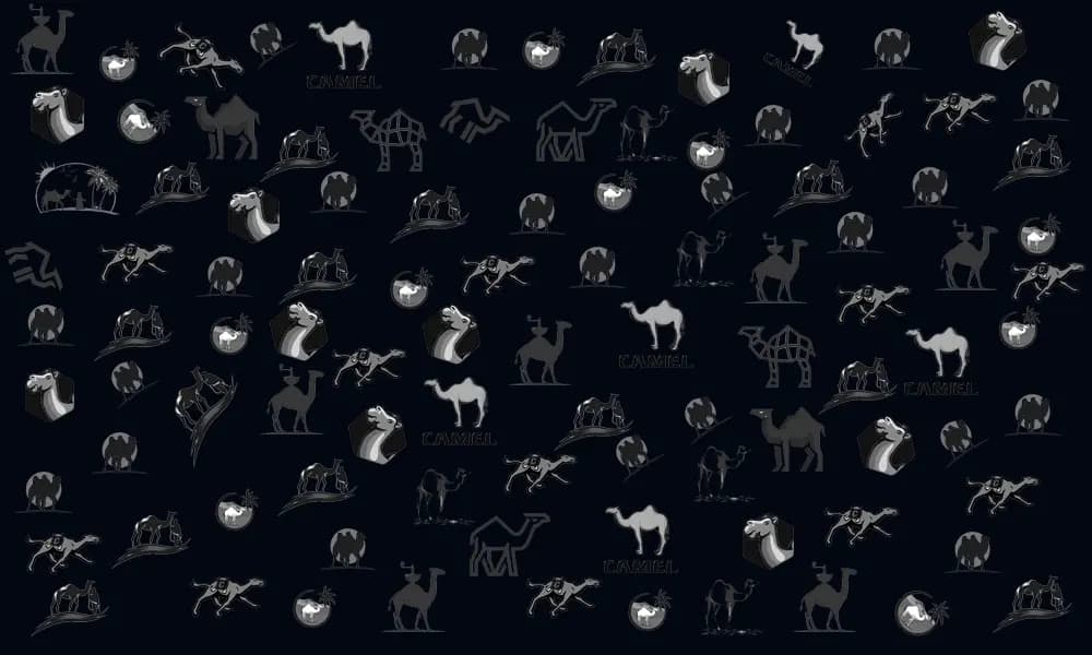 Camels Background